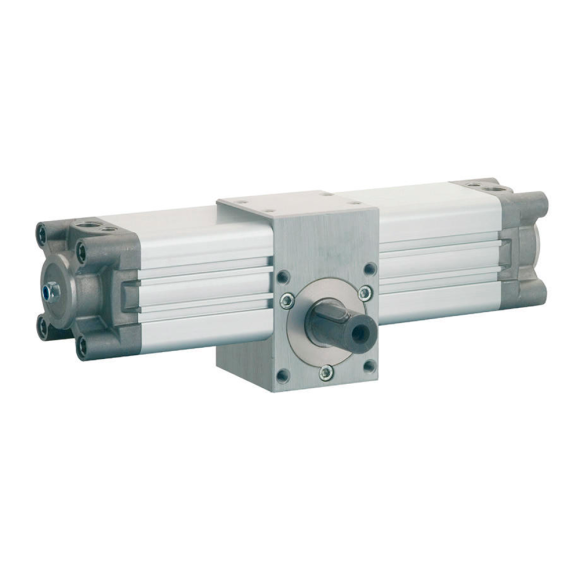 Пневмоцилиндр ?100, 180? Aignep XRM100180, поворотный со сплошным валом
