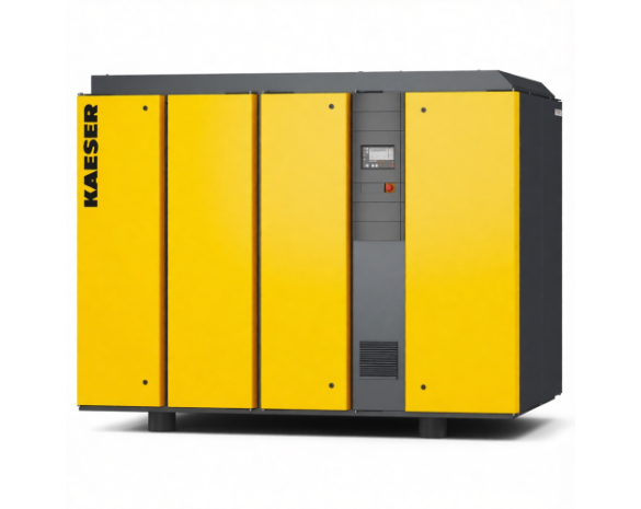 Винтовой компрессор Kaeser DSG 140-2 8