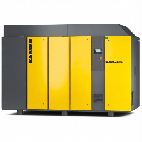 Винтовой компрессор Kaeser DSG 220-2 10 RD