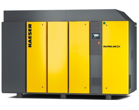Винтовой компрессор Kaeser DSG 290-2 10 RD