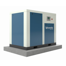 Винтовой компрессор Spitzenreiter S-EKO-75DF II 13