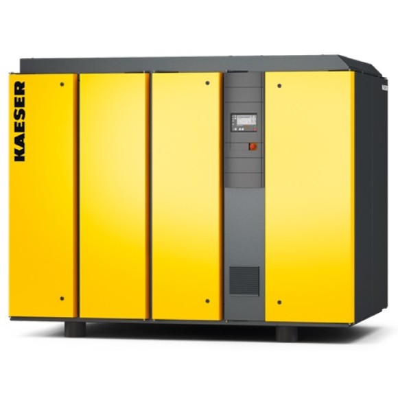 Винтовой компрессор Kaeser DSG 260-2 10